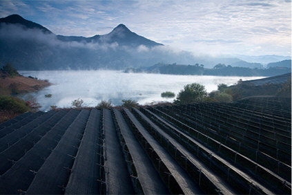 Nature-friendly hilly landscape